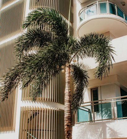 pexels-ian-panelo-3460599